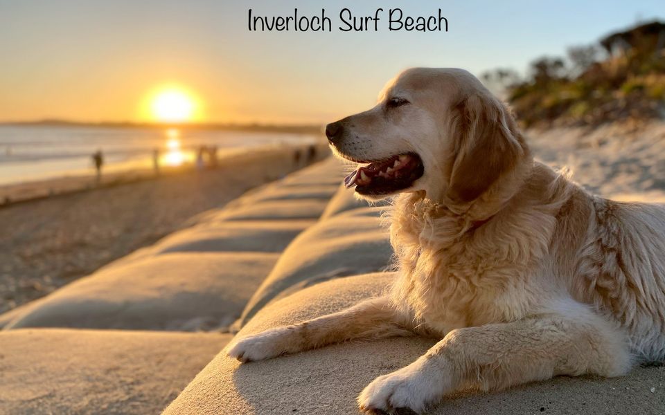 Sun Rise Escape Inverloch