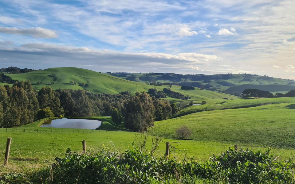 Ovata – Country to Coast