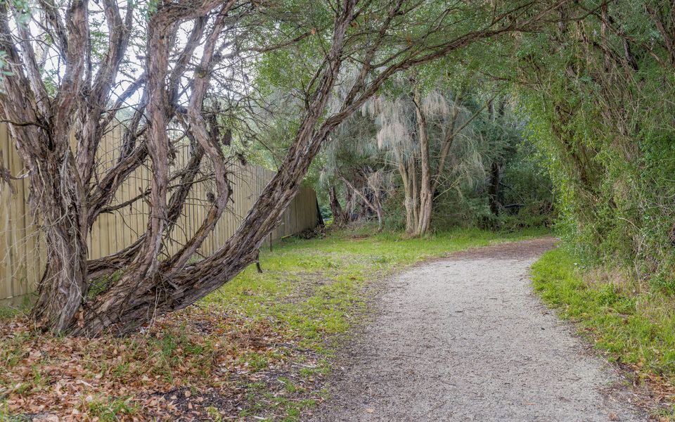 Ripple Dream Inverloch