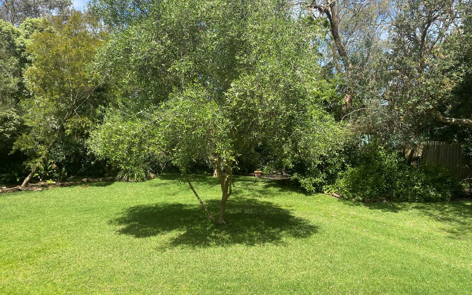 Anembo Cottage Inverloch