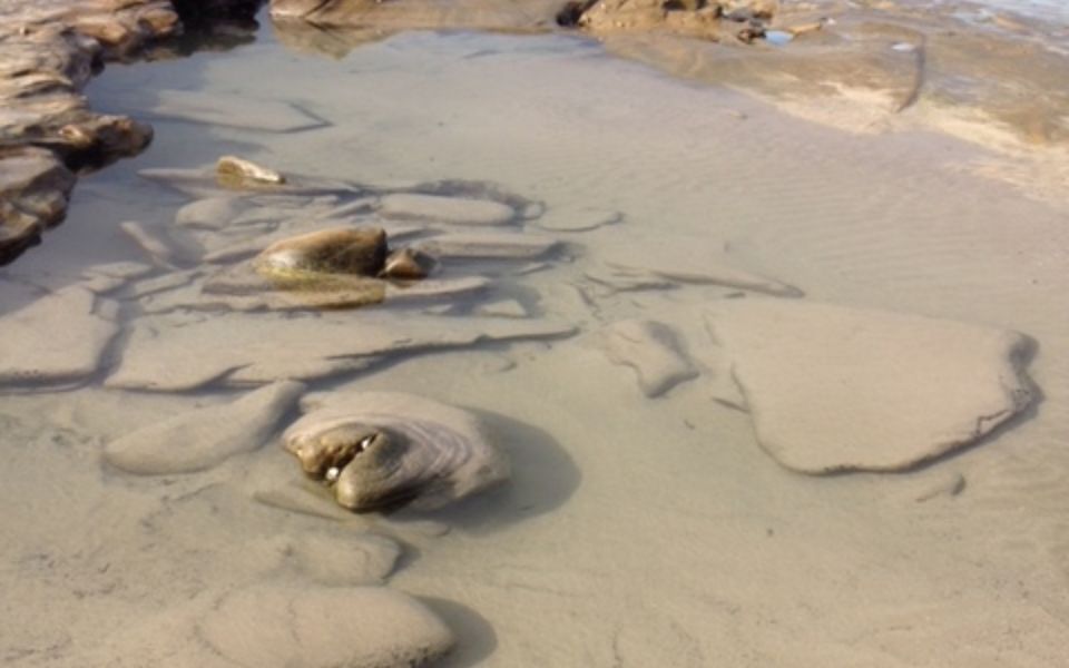 Surfside Getaway in Picturesque Inverloch