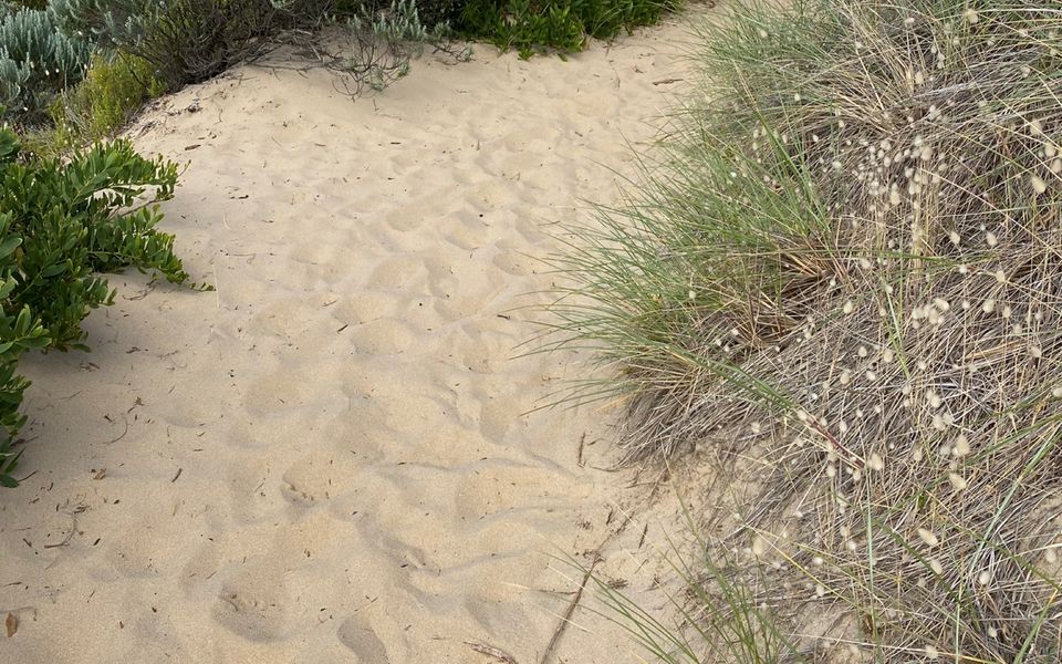 Beachfront at Cape Paterson