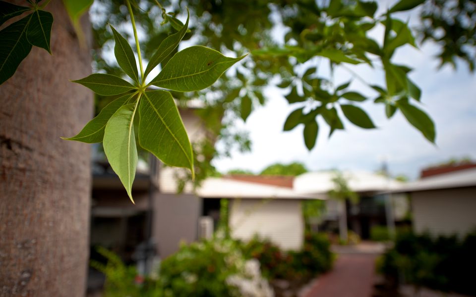 Botanica Editions at Sanctuary Resort