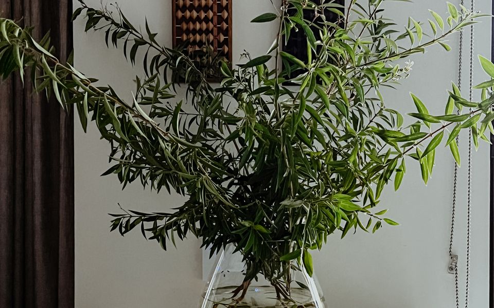 Botanica Editions at Sanctuary Resort