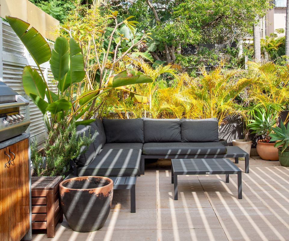 Modern Muse, Bellevue Hill IH