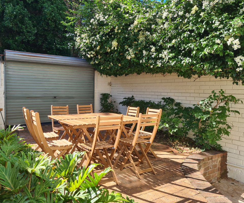 Paddington Bear ISYD