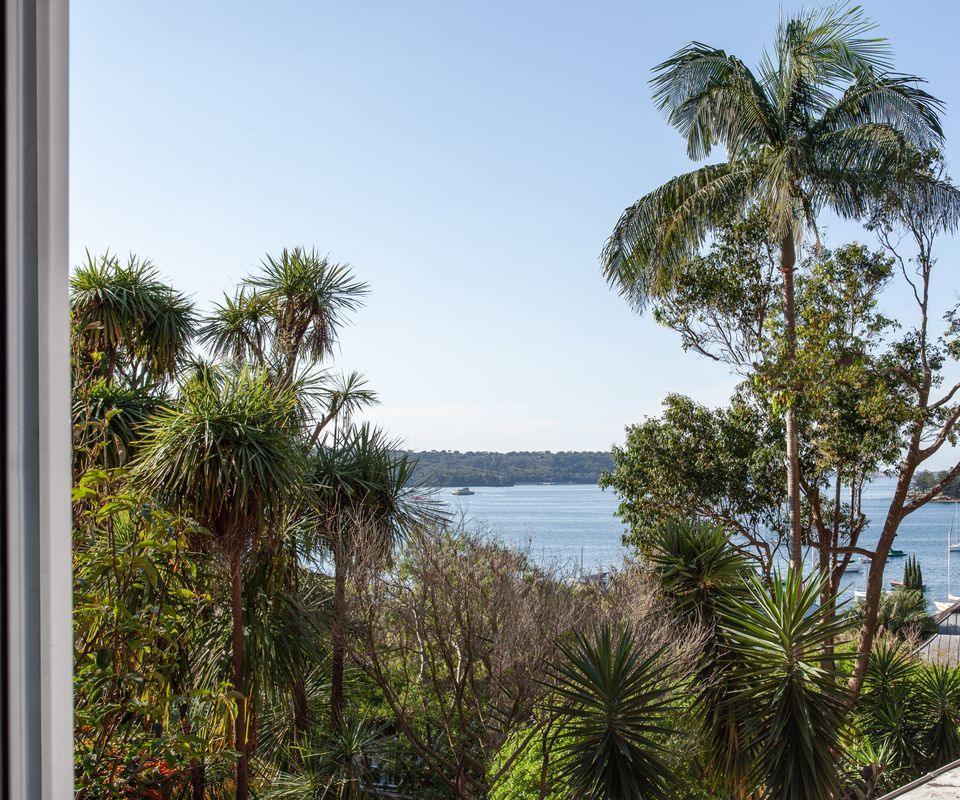 Dazzling Diamond, Point Piper ISYD