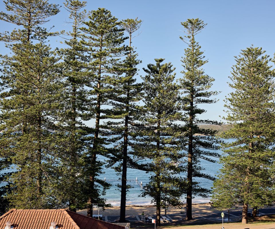 Claire Cove, Manly ISYD
